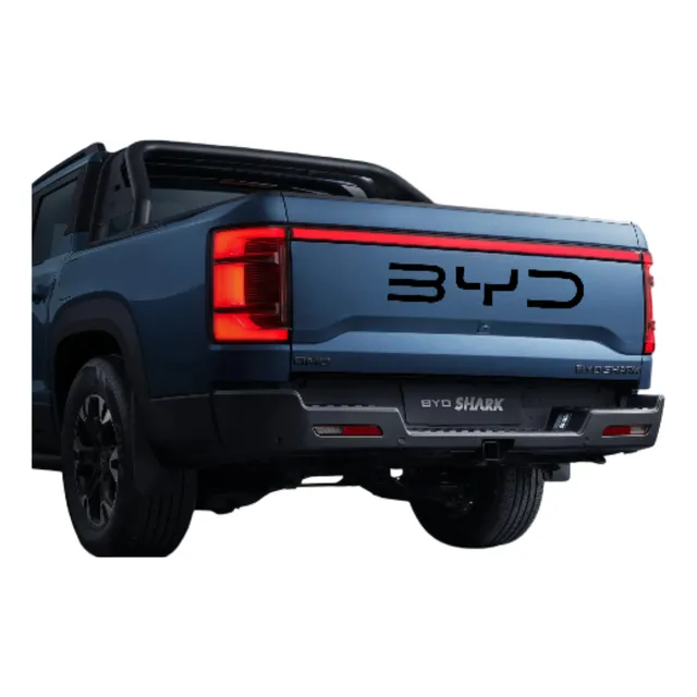 Letras Negro Brillante Tapa Dmo Byd Shark 2024 - Image 2