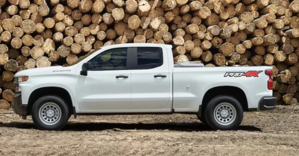 Stickers Calcomania Nissan Frontier Pro4x 2020 - 2023 Vinil