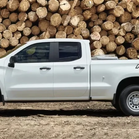 Stickers Calcomania Nissan Frontier Pro4x 2020 - 2023 Vinil - Image 3