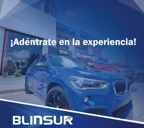 Tumbaburros Burrera  S-10 2023 - 2024 C/porta Placa Golden